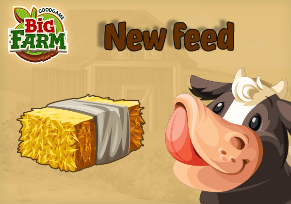 New cow feed:  Hay!
