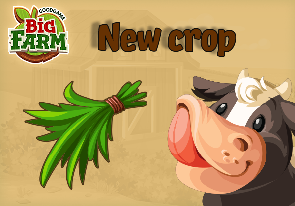 New crop alert: Grow Grass!