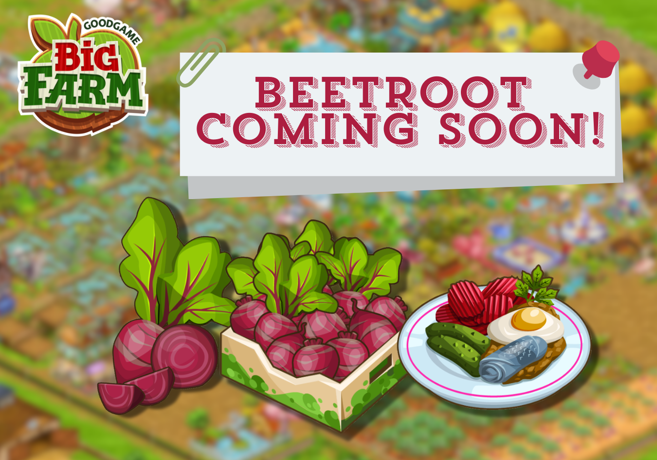 Beetroot coming soon!