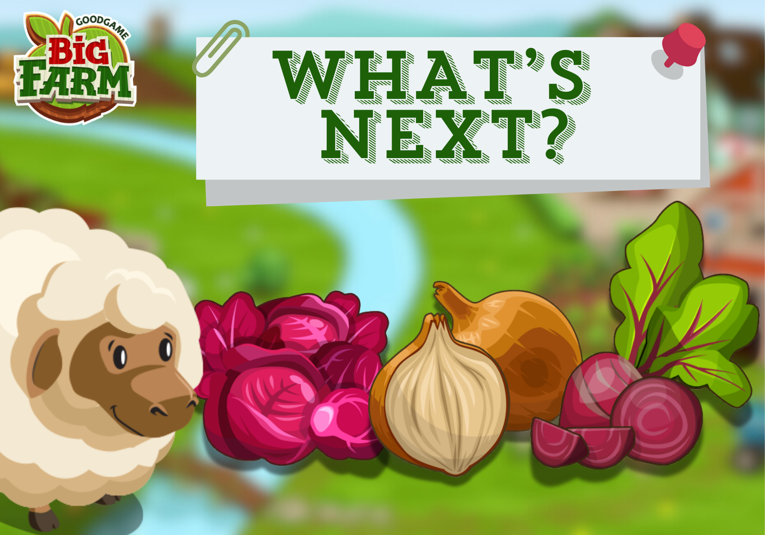 What’s next?
