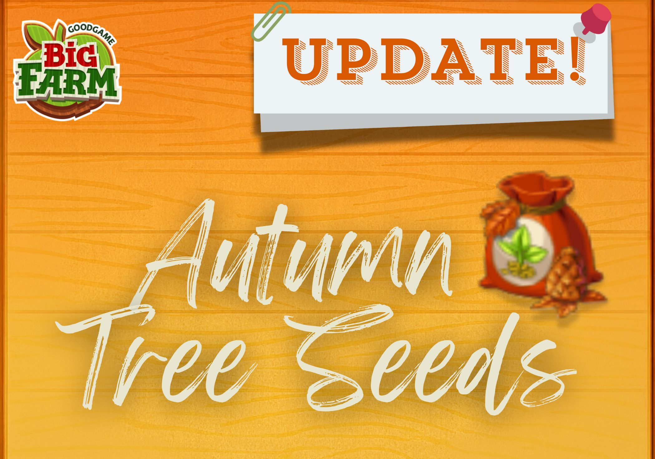 New Autumn Tree Seeds arrive on September 25th 🌱