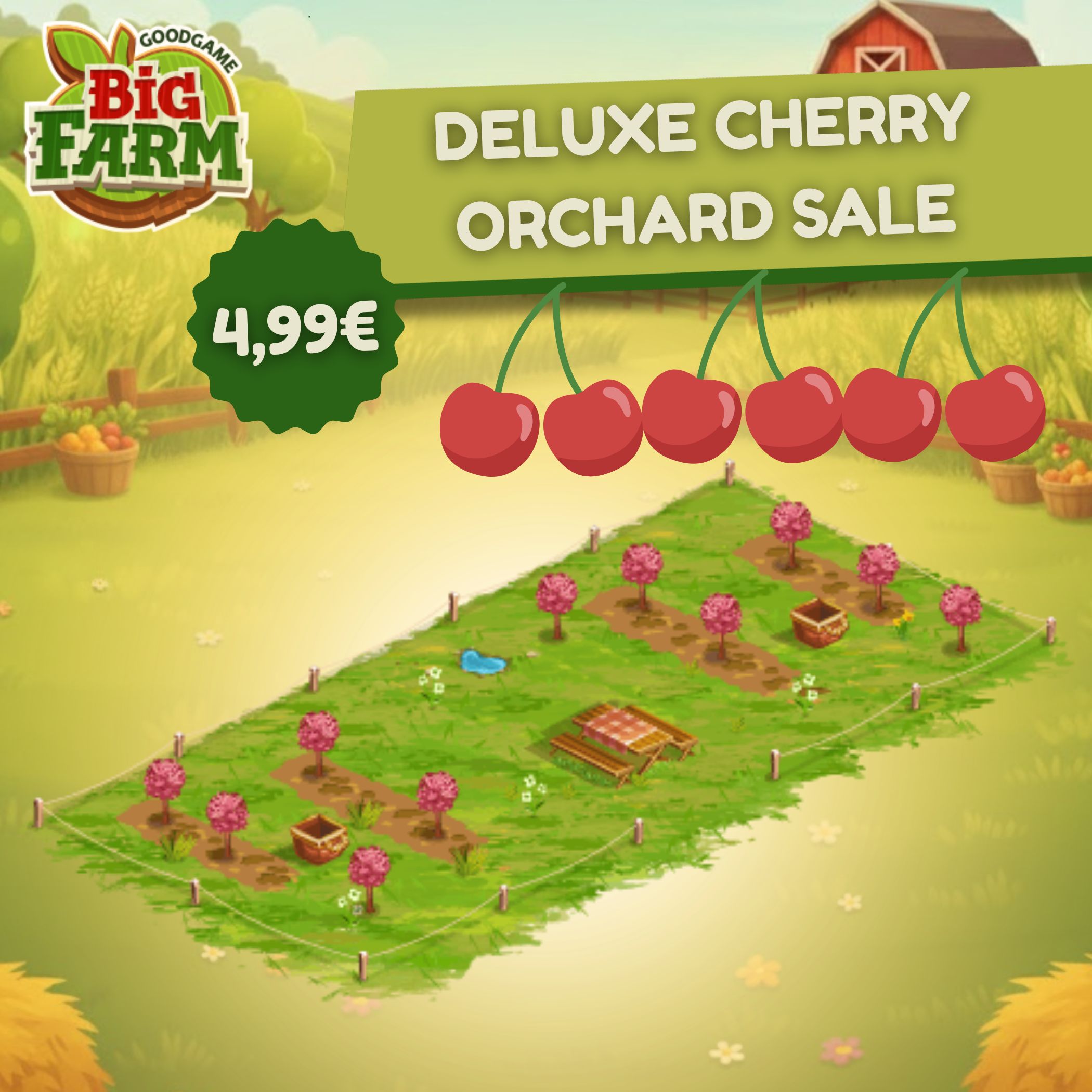 Deluxe Cherry Orchard Sale